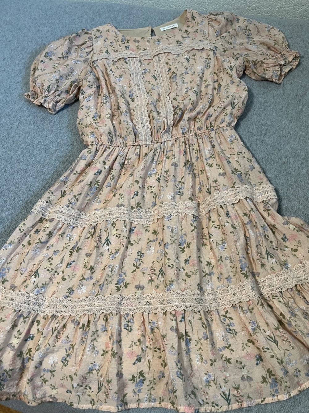 Cottagecore Kawaii Pink Floral Dress Small Petite Coquette Puff Lace Lolita - Picture 11 of 12